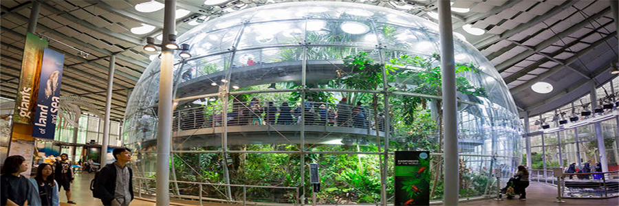 San Francisco: California Academy of Sciences - Credit: calacademy.org