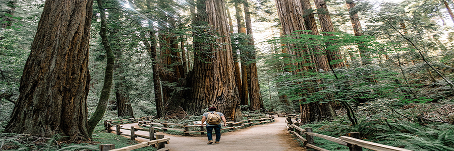 San Francisco: San Francisco Excursions - Credit: caleb-jones-J3JMyXWQHXU-unsplash